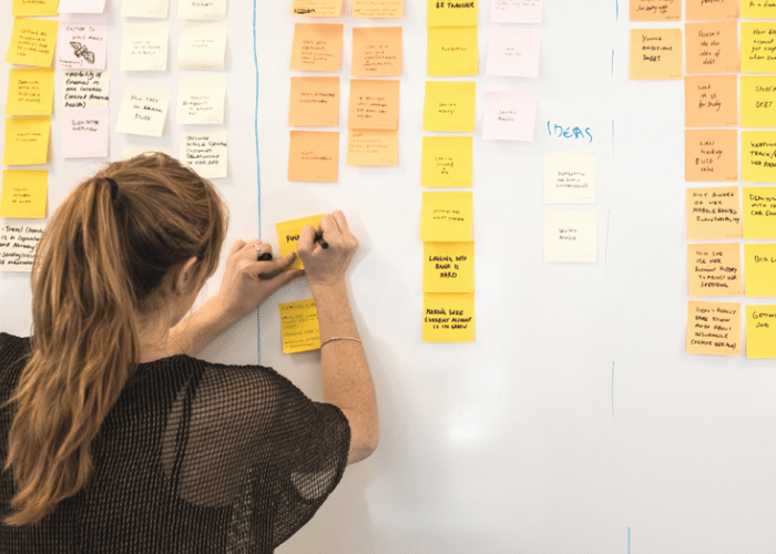 Courtney McConnochie analysing research patterns